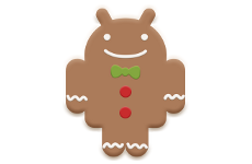 gingerdroid