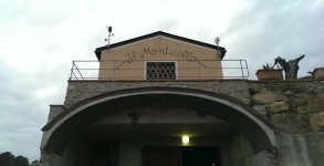 il_ monticello